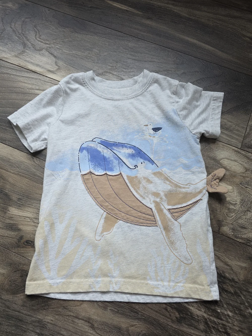 Carters brand carter